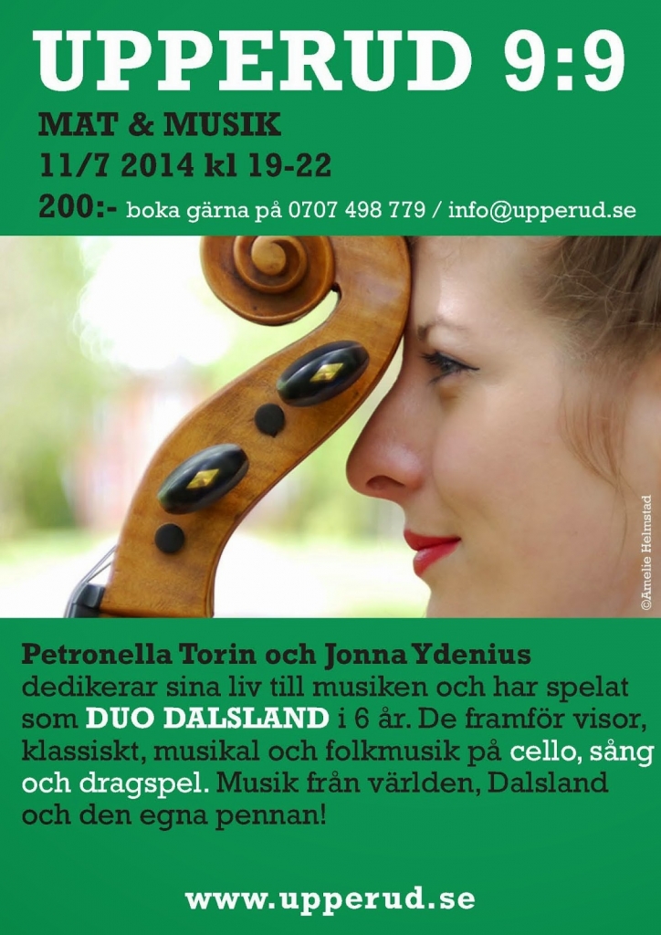 mat-musik-11-juli-duo-dalsland1